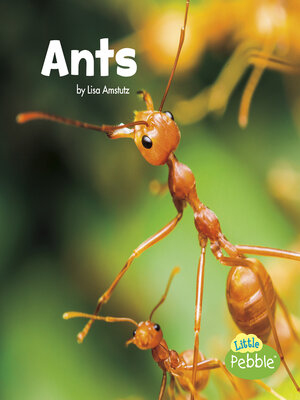 cover image of Ants